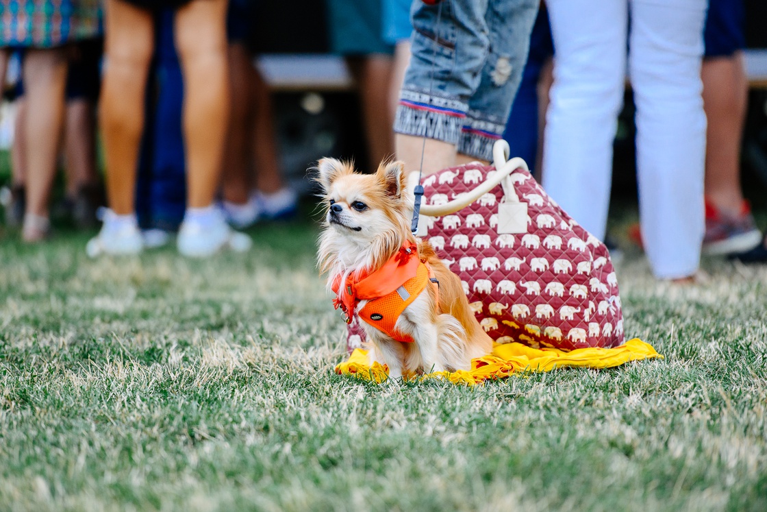 Презентація Volkswagen T-Roc